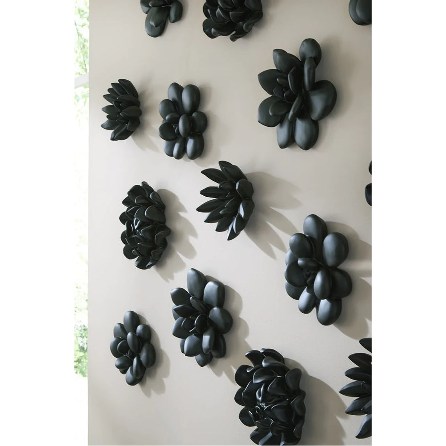 Phillips Collection Oviferum Smooth Black Succulent Wall Art