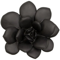 Phillips Collection Laui Smooth Black Succulent Wall Art