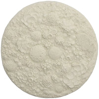 Phillips Collection Coral Reef Wall Art - Round