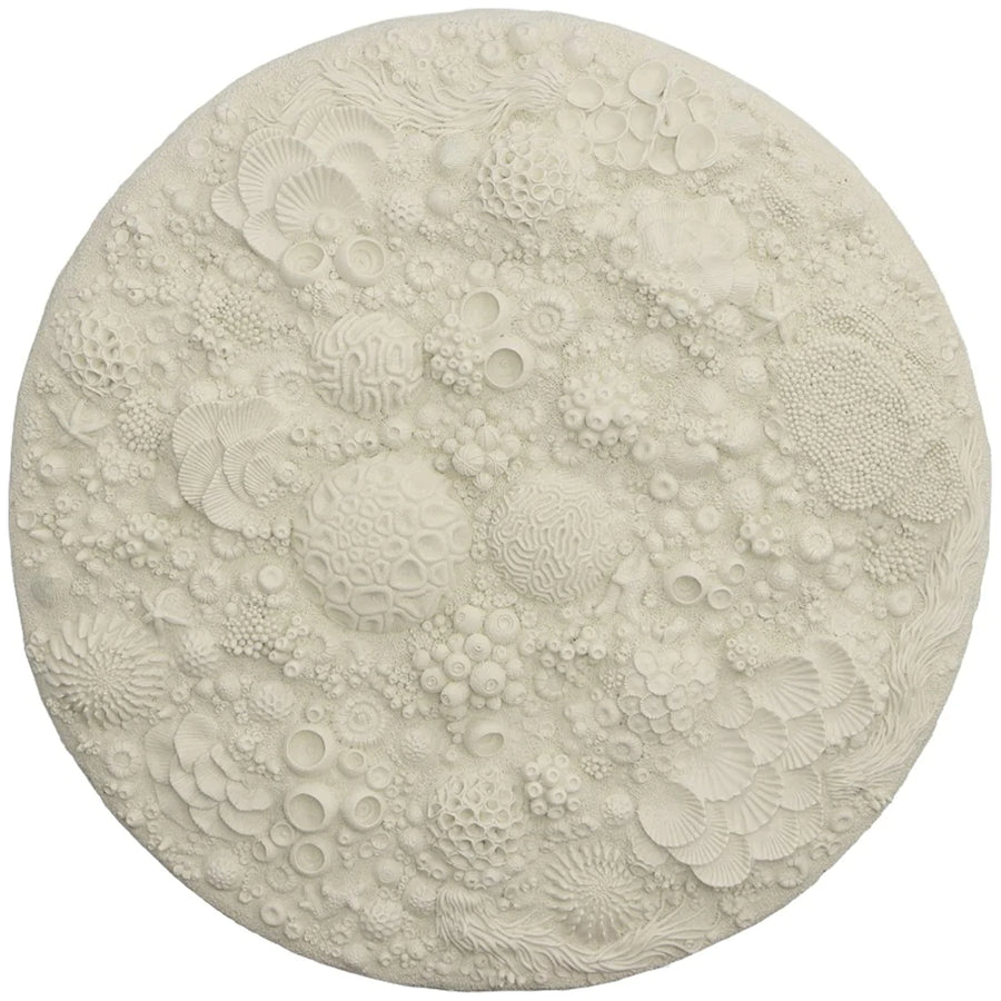 Phillips Collection Coral Reef Wall Art - Round