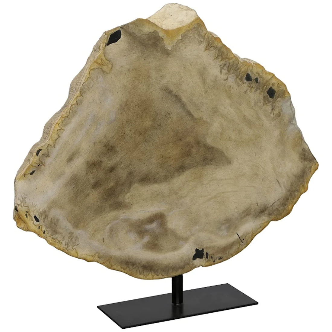 Phillips Collection Beige Cast Petrified Sculpture