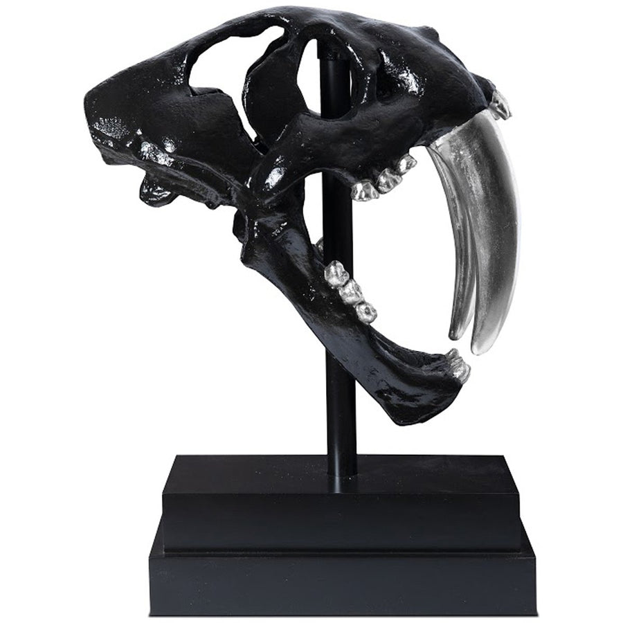 Phillips Collection Saber Tooth Tiger Skull Sculpture