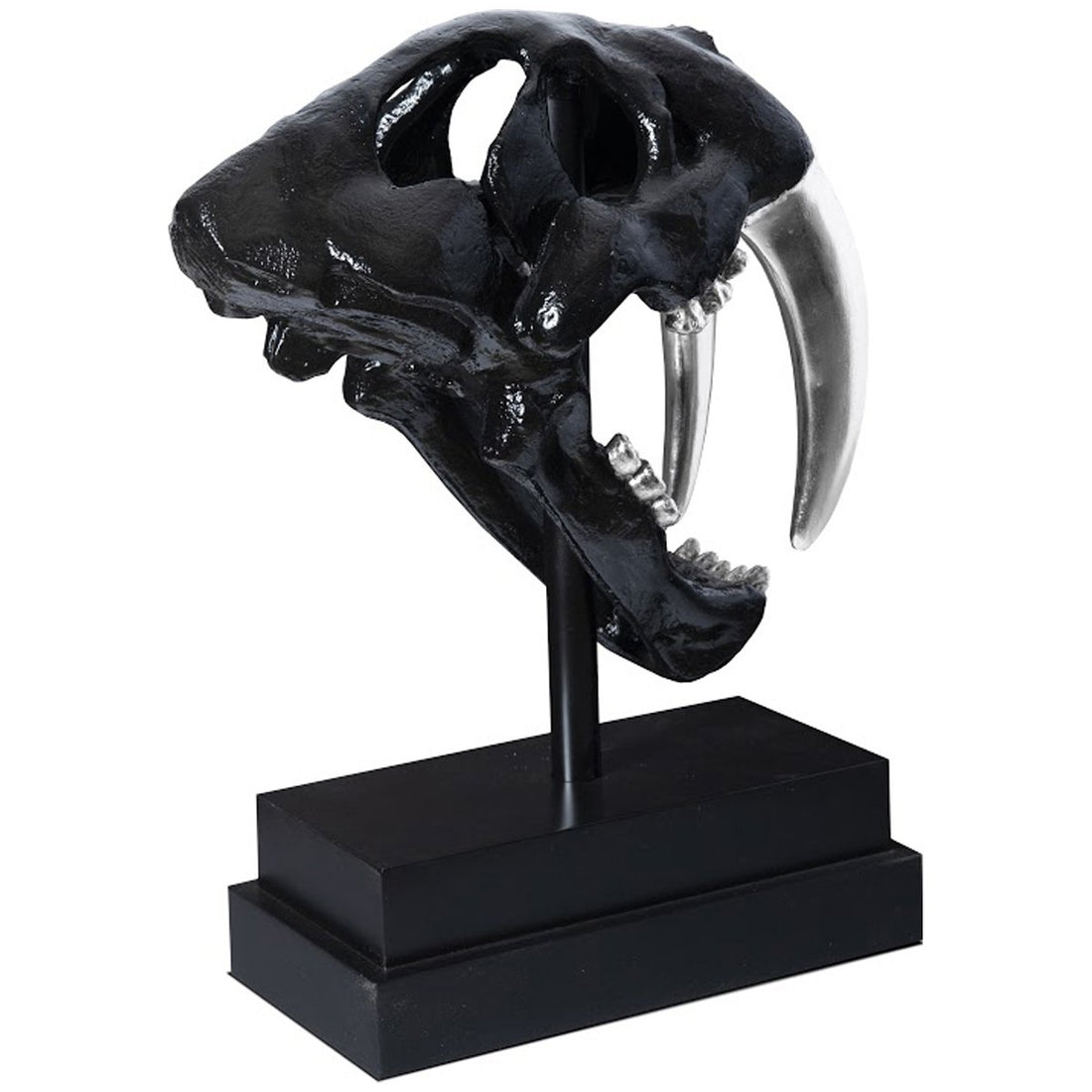 Phillips Collection Saber Tooth Tiger Skull Sculpture