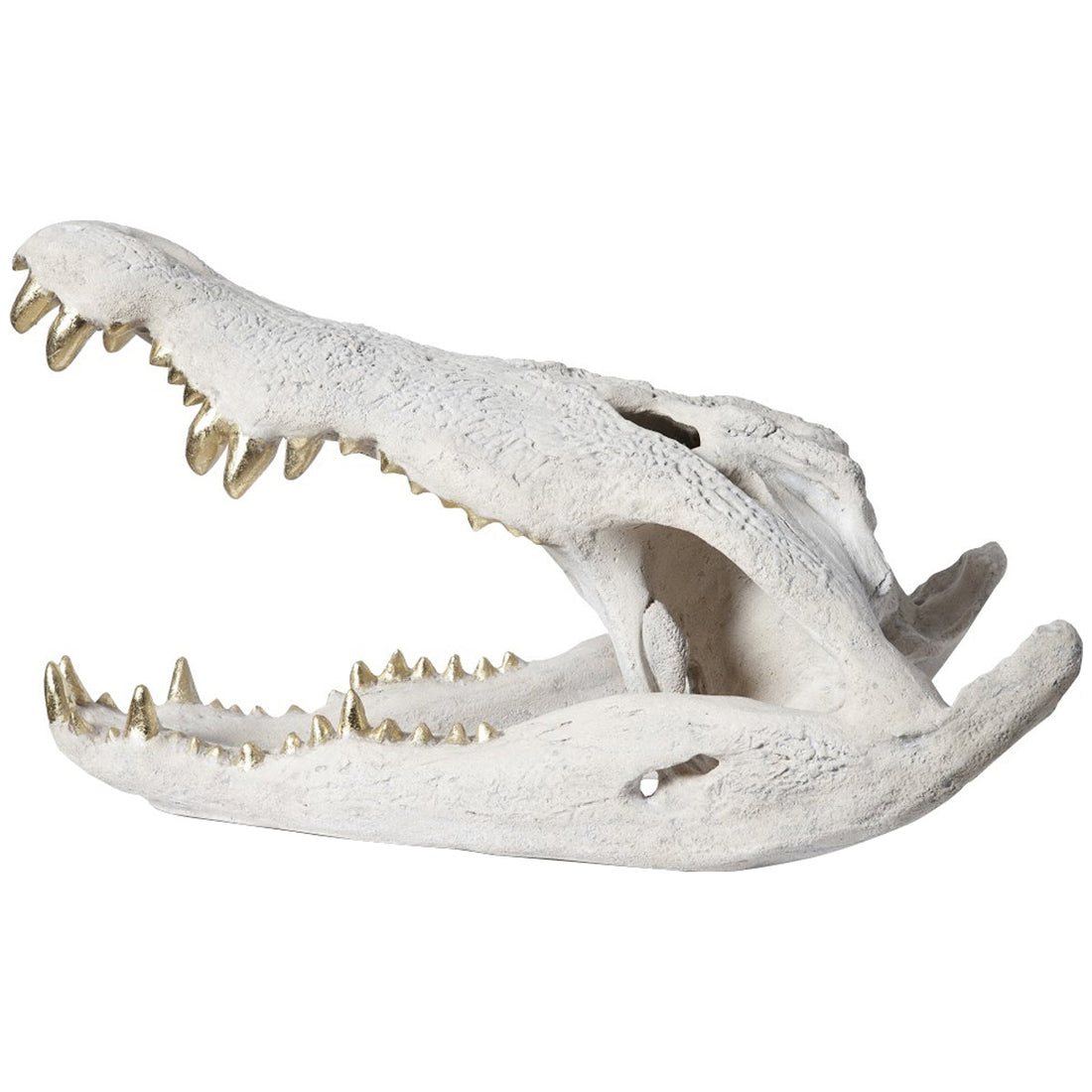 Phillips Collection Crocodile Skull Sculpture