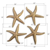 Phillips Collection Starfish Wall Decor, Set of 4