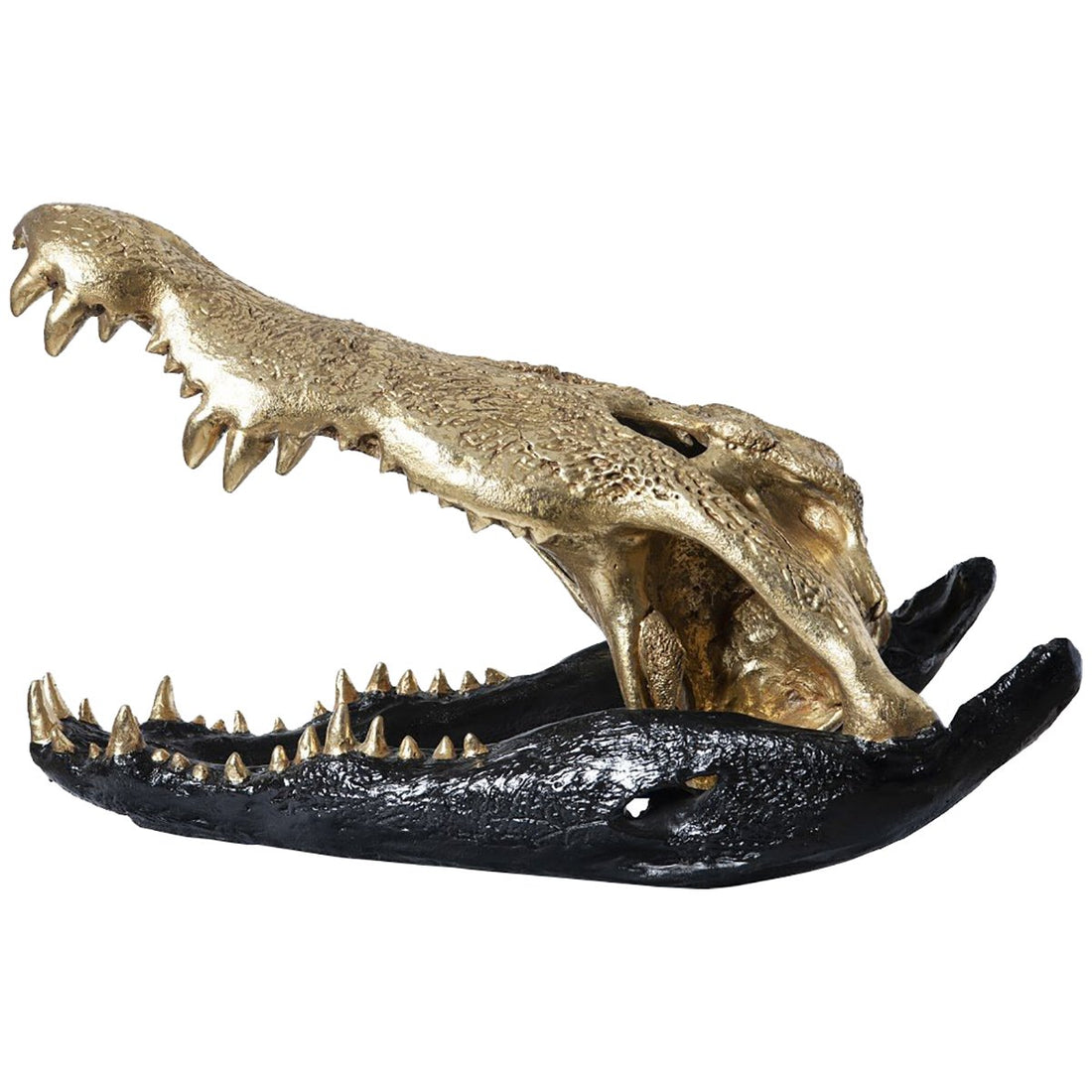 Phillips Collection Crocodile Skull Sculpture