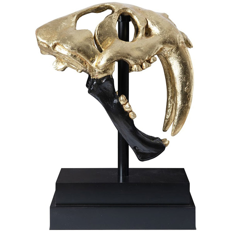 Phillips Collection Saber Tooth Tiger Skull Sculpture