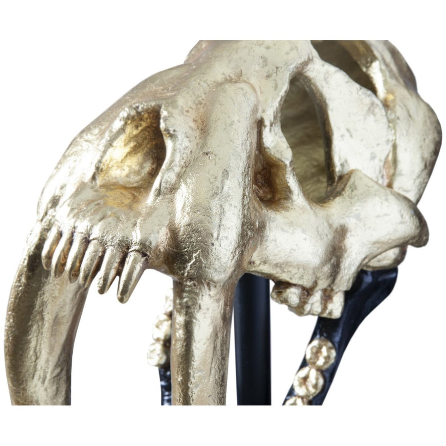 Phillips Collection Saber Tooth Tiger Skull Sculpture