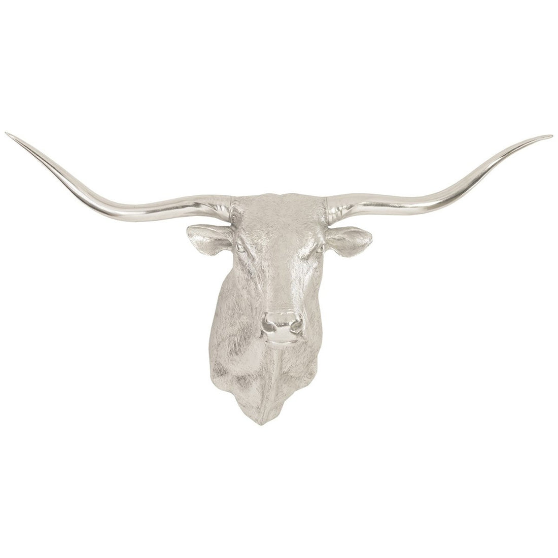 Phillips Collection Longhorn Bull Wall Art