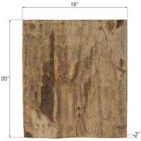 Phillips Collection Square Cast Petrified Wood Wall Tile