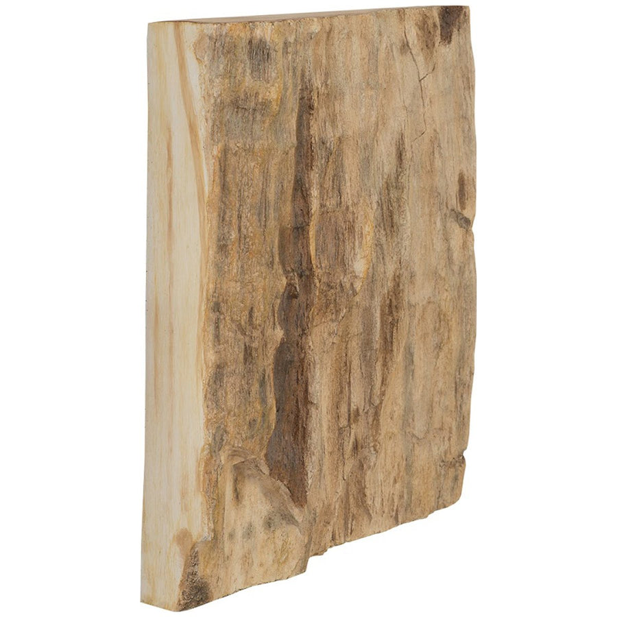 Phillips Collection Square Cast Petrified Wood Wall Tile