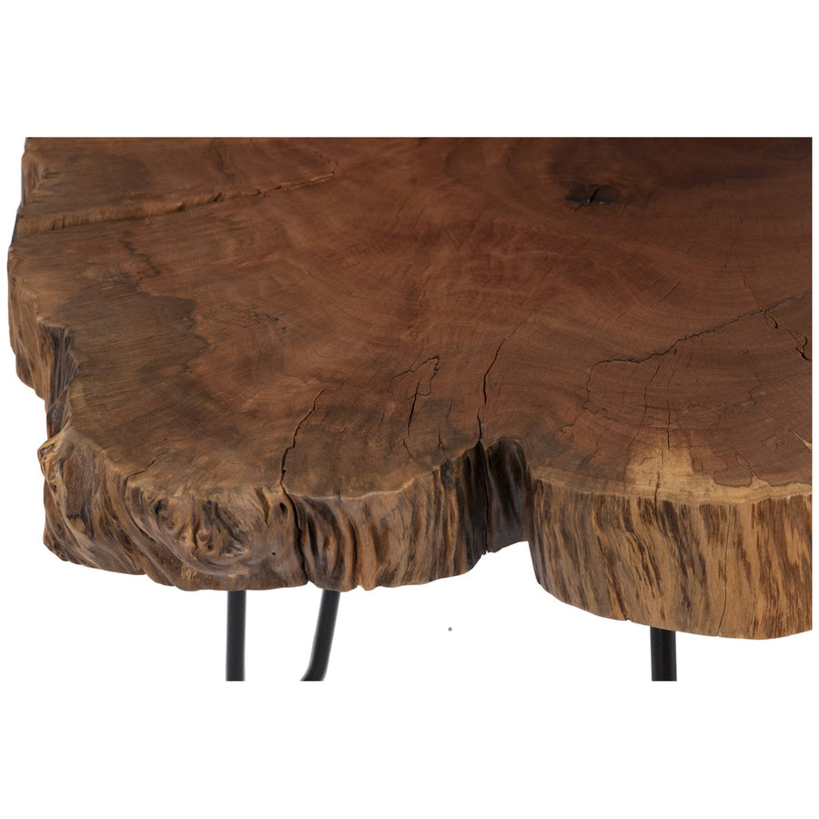 Phillips Collection Burled Coffee Table