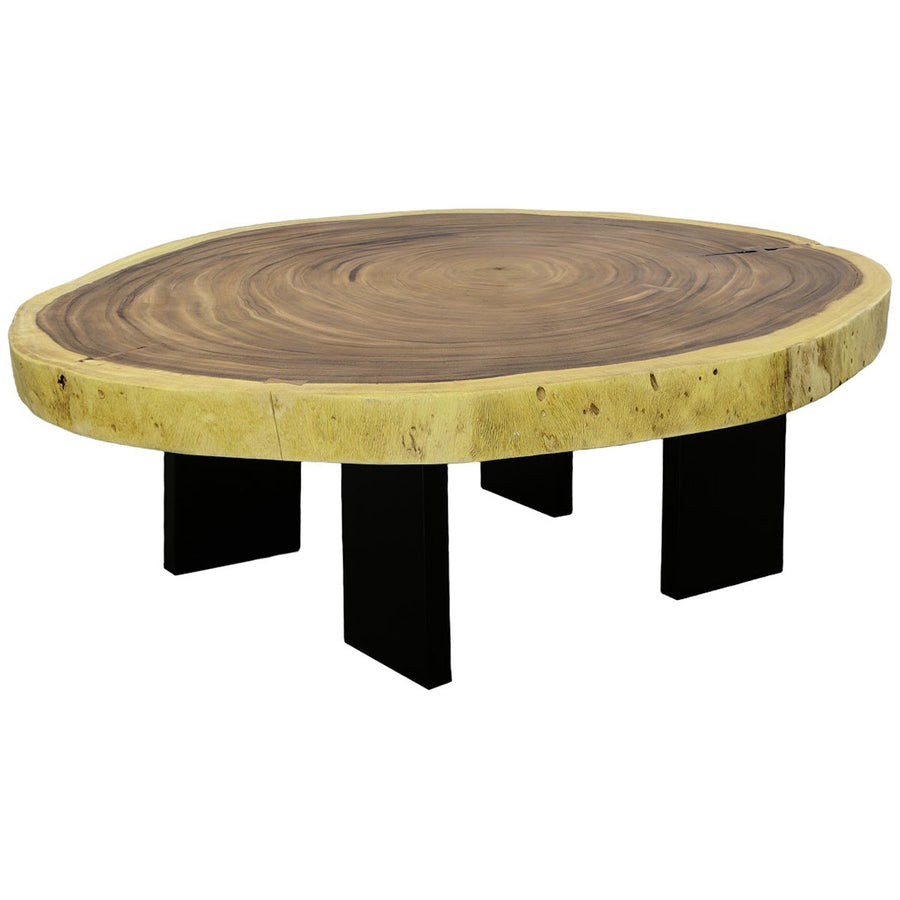 Phillips Collection Floating Natural Coffee Table