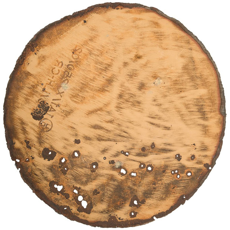 Phillips Collection Reclaimed Oil Drum Wall Disc