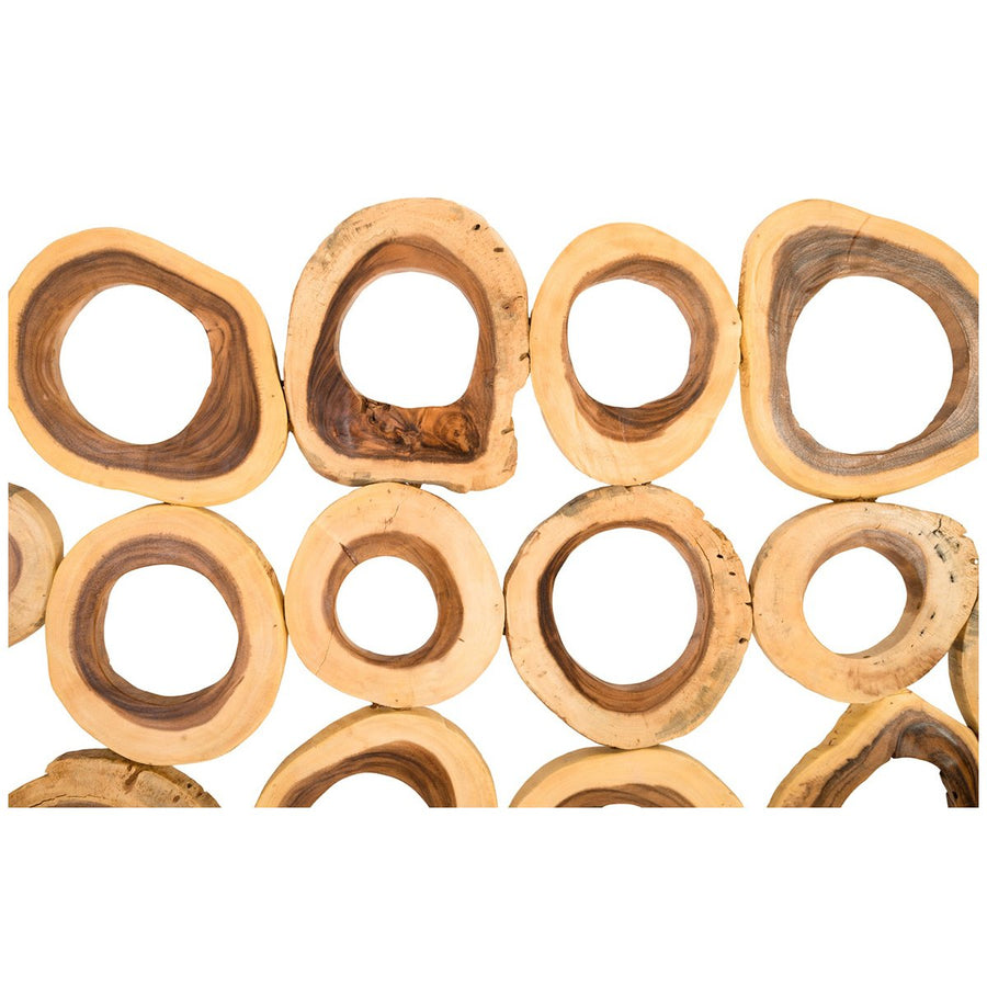 Phillips Collection Chuleta Rings Rectangular Wall Art