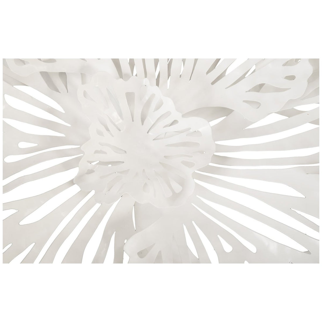 Phillips Collection Flower Small Wall Art