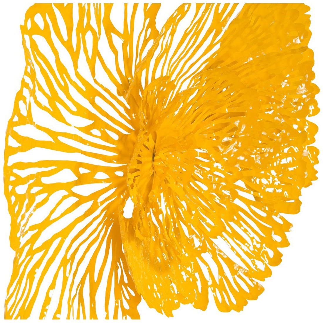 Phillips Collection Flower Medium Wall Art