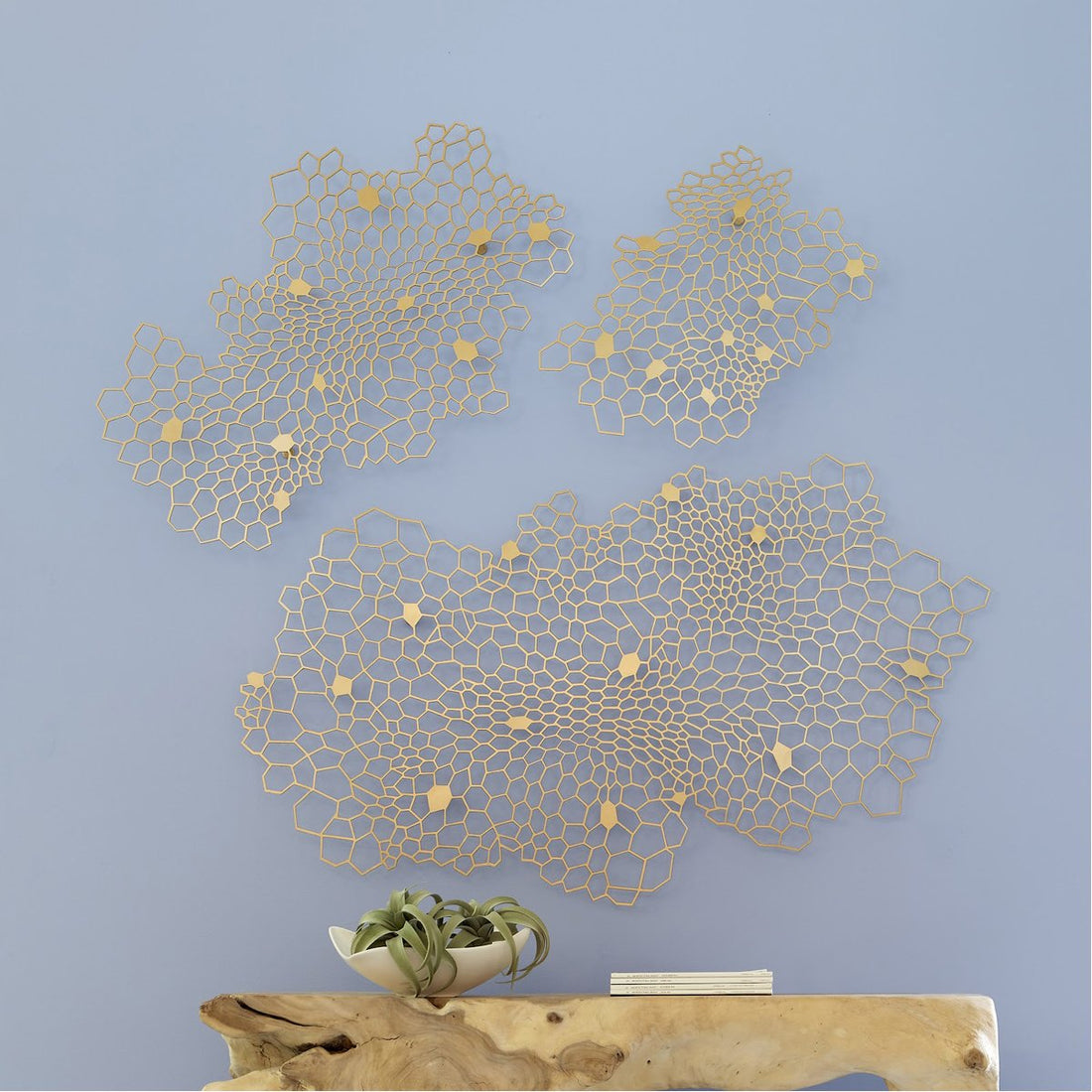 Phillips Collection Honeycomb Large Wall Art