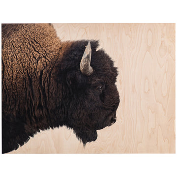 Four Hands Art Studio American Bison - Maple Box