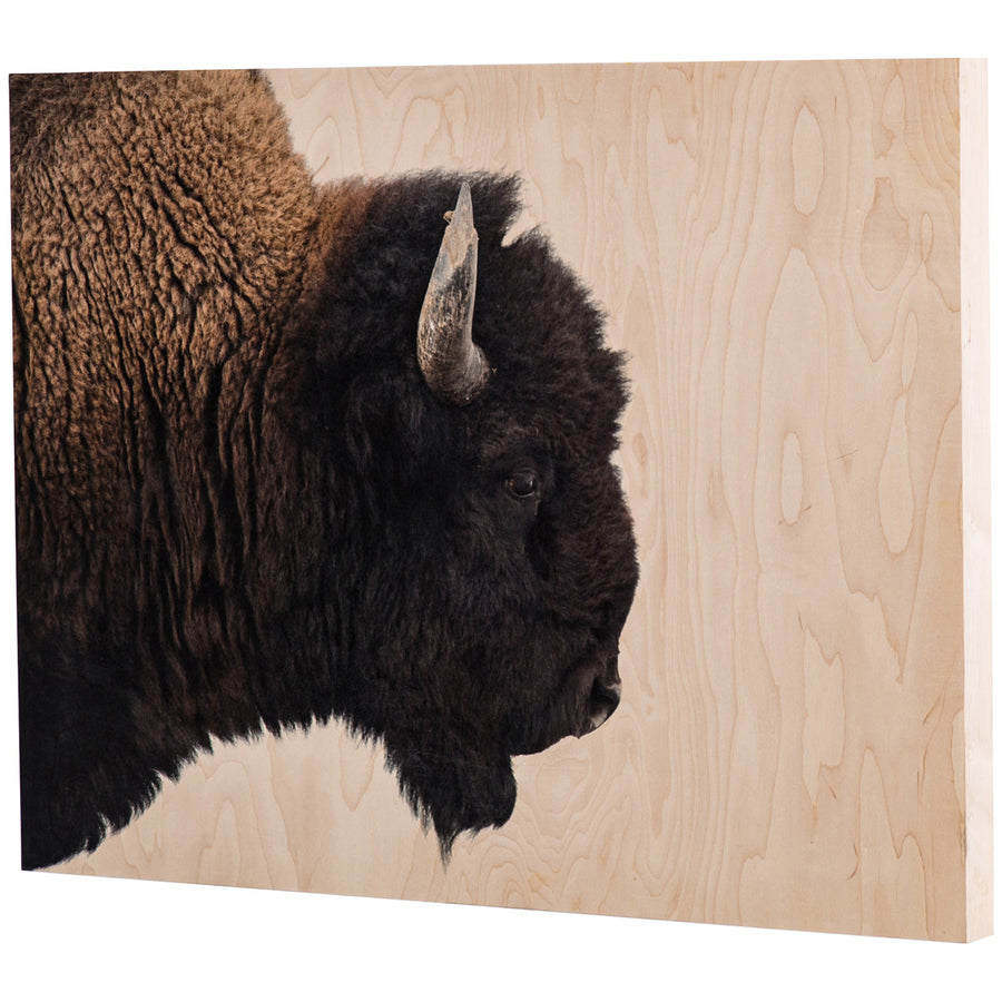 Four Hands Art Studio American Bison - Maple Box