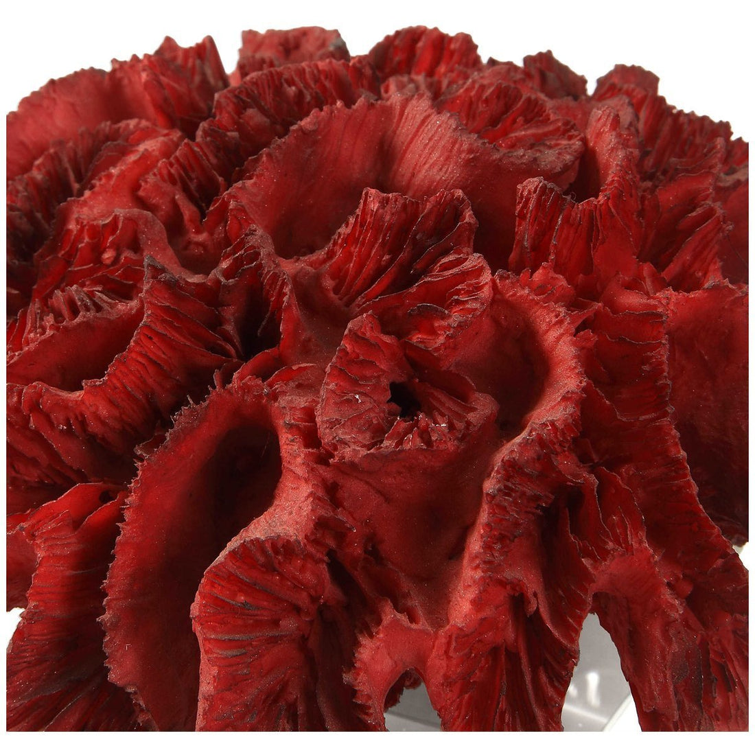 Uttermost Red Coral Cluster