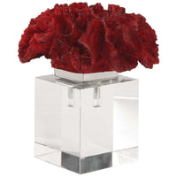 Uttermost Red Coral Cluster