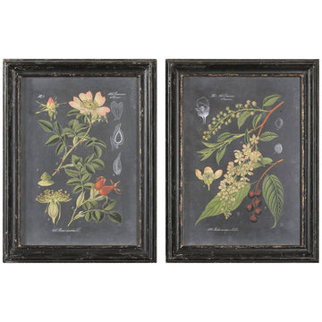 Uttermost Midnight Botanicals Wall Art, 2-Piece Set