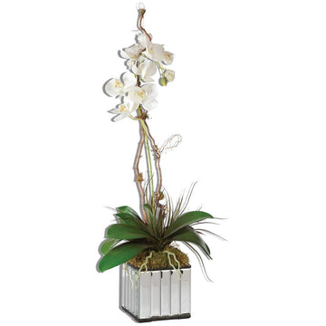 Uttermost White Kaleama Orchids