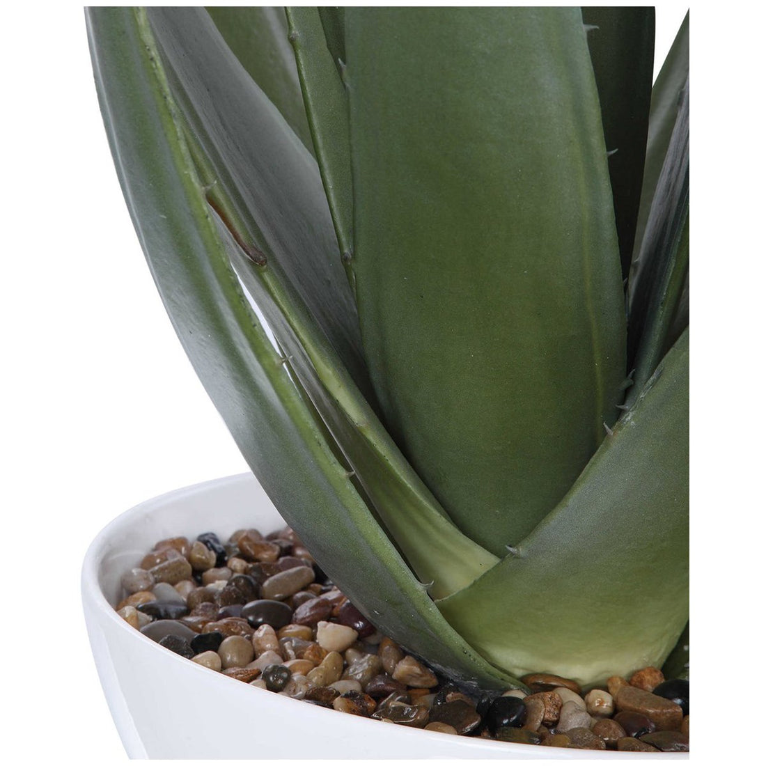 Uttermost Evarado Aloe Planter