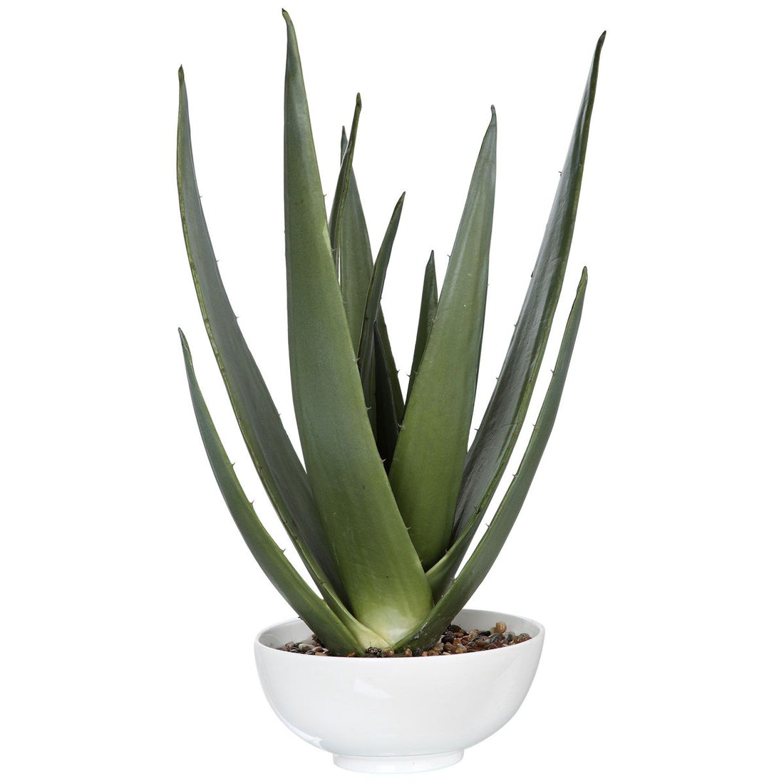 Uttermost Evarado Aloe Planter