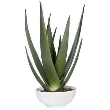 Uttermost Evarado Aloe Planter